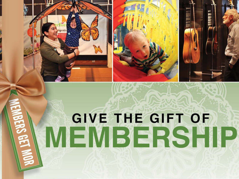 A photo collage showing various engaging scenes of families, children, and adults enjoying different exhibits and activities at the museum.