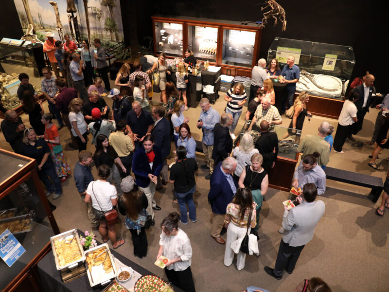 A high-angle view of a crowded exhibit opening reception at Museum of the Rockies, with guests gathered among display cases and museum exhibits.