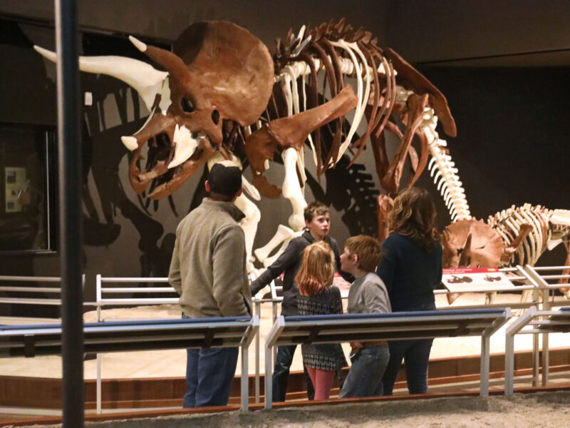 Homeschool family exploring the Triceratops exhibit in the Hall of Horns and Teeth.