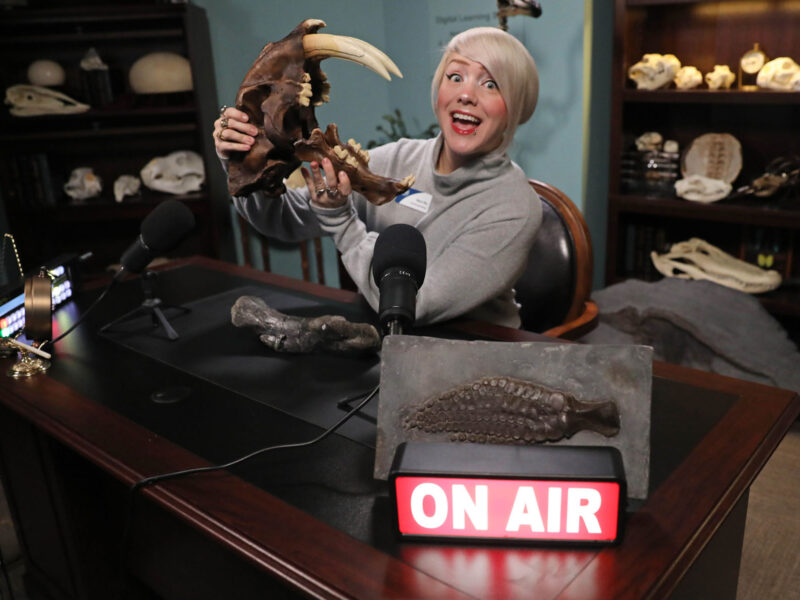 Ashley, an educator at Museum of the Rockies, smiles while holding a dinosaur skull during a "Fossil Fridays" live stream or broadcast, featuring an "ON AIR" sign in the foreground.