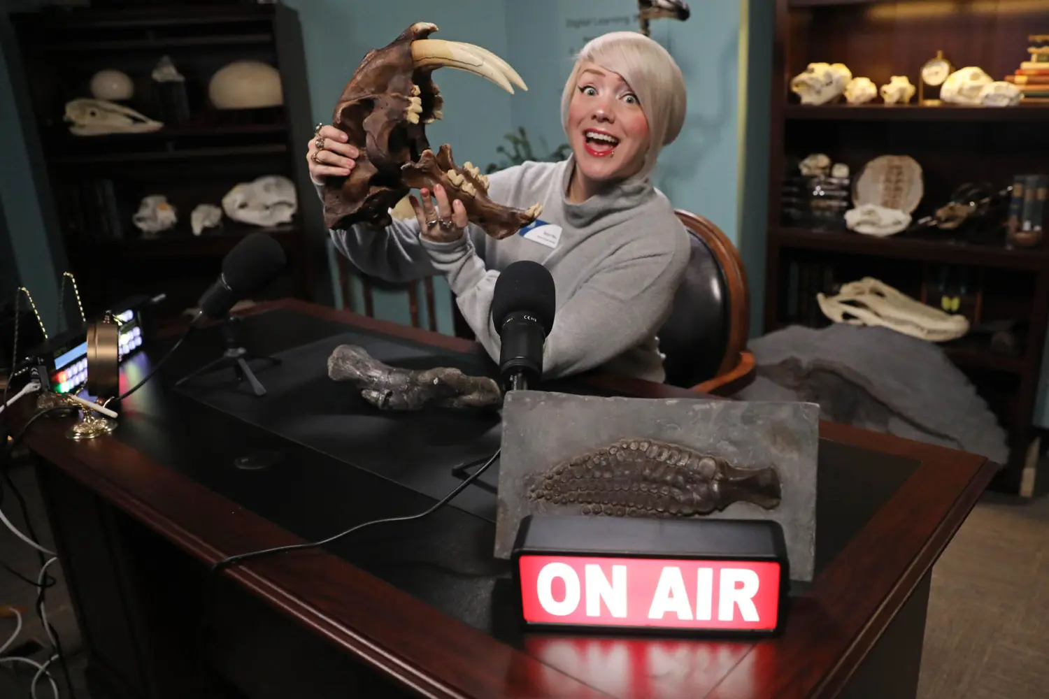 Ashley, an educator at Museum of the Rockies, smiles while holding a dinosaur skull during a "Fossil Fridays" live stream or broadcast, featuring an "ON AIR" sign in the foreground.