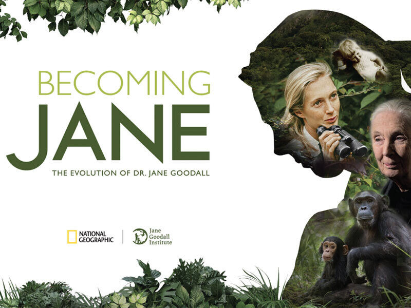 The exhibition logo for "Becoming Jane: The Evolution of Dr. Jane Goodall," featuring a portrait of Jane Goodall looking through binoculars and a young chimpanzee against a lush green forest background.