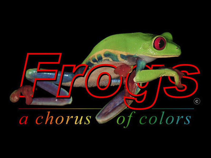 The exhibition logo for "Frogs: A Chorus of Colors," featuring a red-eyed tree frog perched atop stylized red text against a black background.
