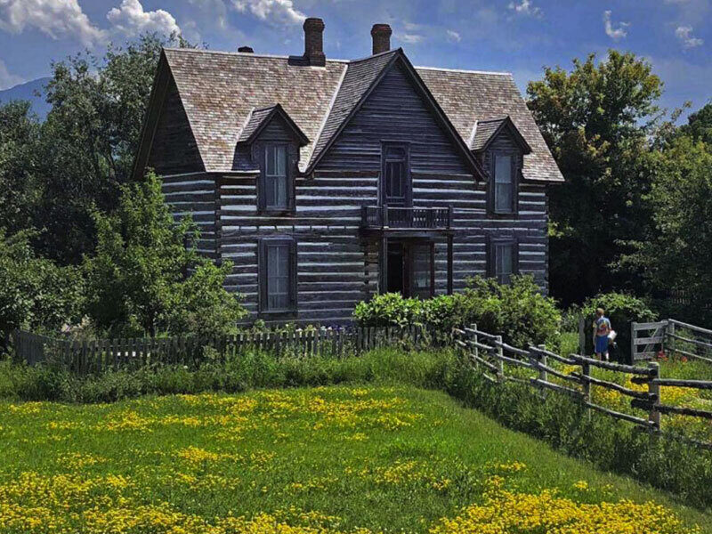 The historic Tinsley House at Museum of the Rockies, shown as a two-story log structure set against a backdrop of lush green trees and a vibrant field of yellow wildflowers.
