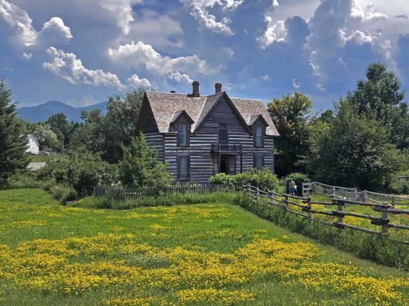 A scenic summer view of the historic Tinsley House at the Living History Farm, featuring a lush green field of yellow wildflowers in the foreground and a bright blue sky with scattered clouds above.