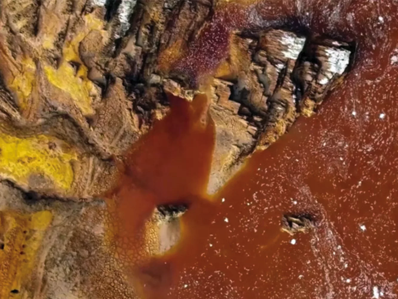 Close-up abstract view of dark, reddish-brown minerals with bright yellow/orange patches, representing a 'Dark Biosphere' environment.